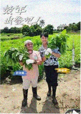 漫游者说 综艺封面